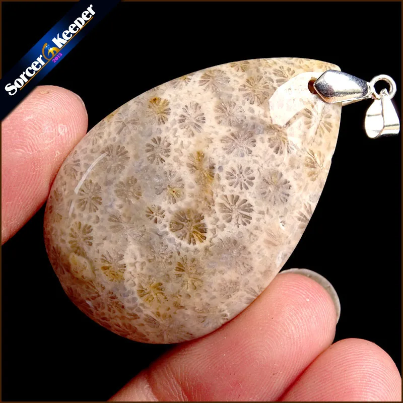 Natural Chrysanthemum Coral Fossil Gem Stone Jewelry Polished Specimen