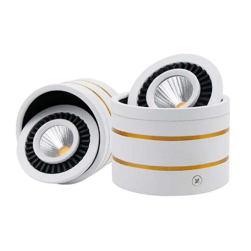 LED surface mounted downlight  (4)