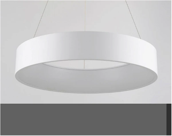 modern pendant lamp (23)