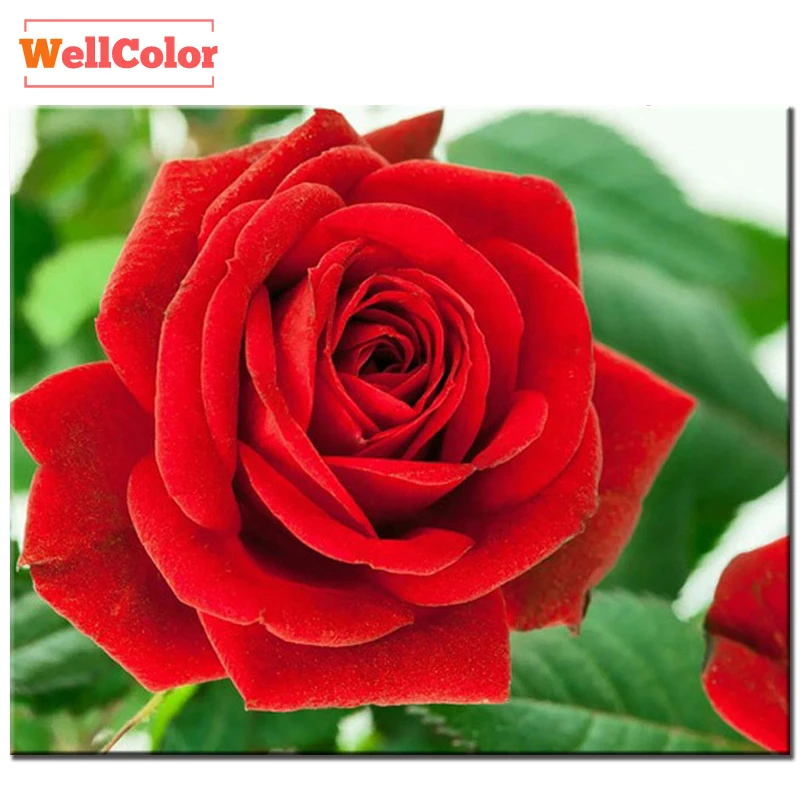 

WELLCOLOR diamond embroidery flower red rose 5D diy diamond painting cross stitch kits 3D diamond mosaic sale pattern rhinestone