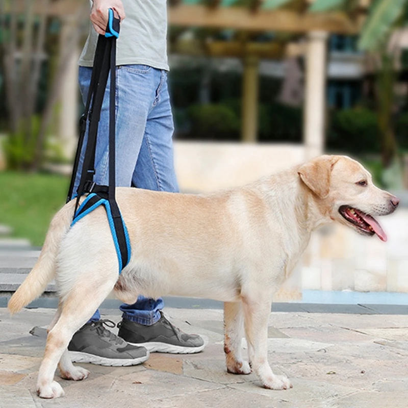 Arnés de elevación ajustable para perro, eslinga de soporte para patas traseras, ayuda para patas débiles, herramienta de asistencia para perros viejos