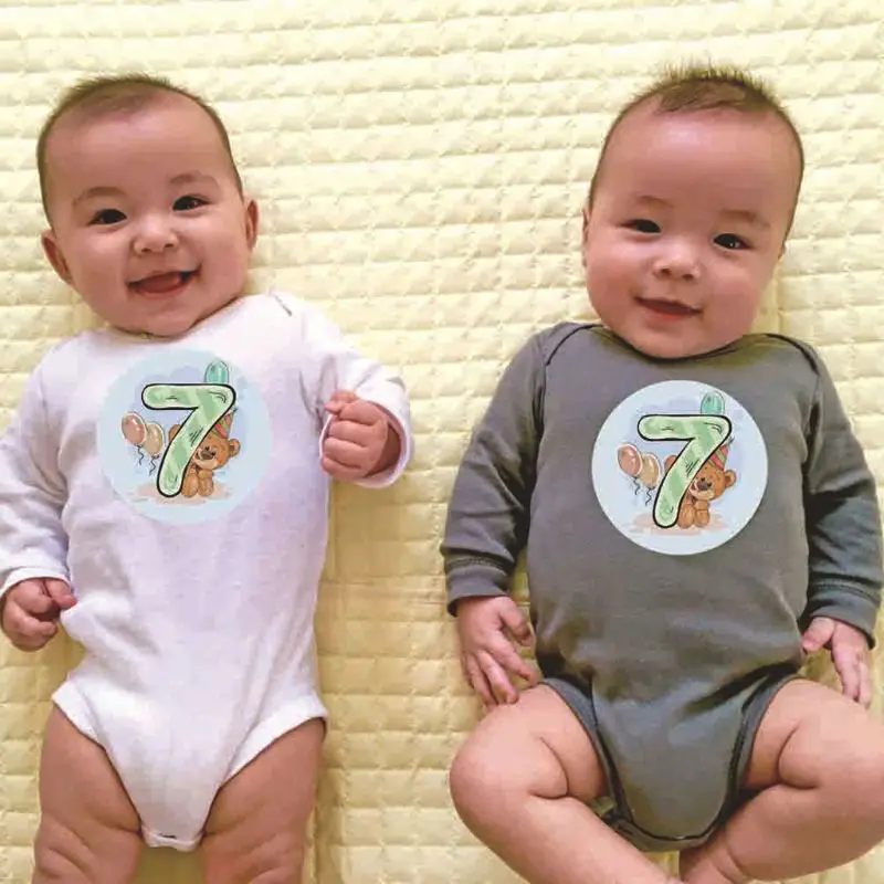 Premium Month Sticker Baby Photography Milestone Memorial Monthly Newborn Kids Commemorative Card Number Photo Props 12 Pcs/set