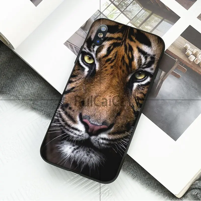 animal tiger