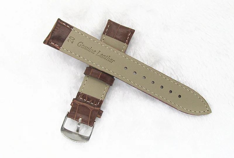 3677910838_1552623987