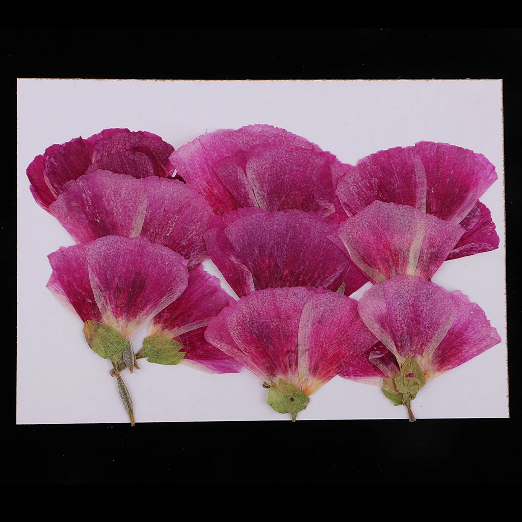 MagiDeal 12x Pressed Real Godetia Flower Dried Flowers DIY Phone Case Scrapbook Craft Artificia Flowers for Wedding Invitations
