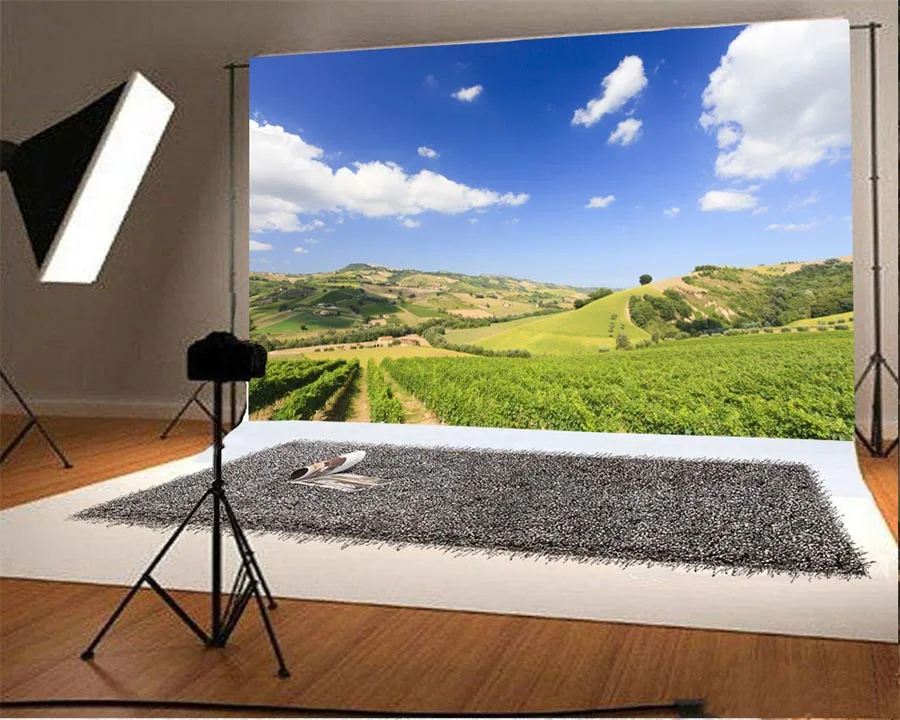 Laeacco Sunny Rural Farm Fields Ландшафтный фон для фотосъемки Виниловый на заказ Фотофон