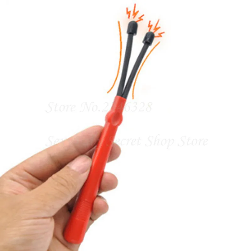 8096139588_159601279