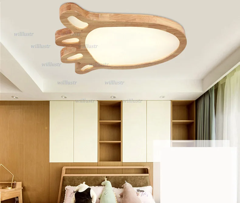 ceiling light  (14)