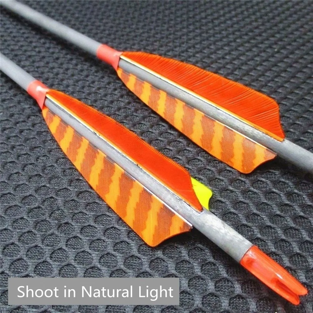 carbonarrows  (4)