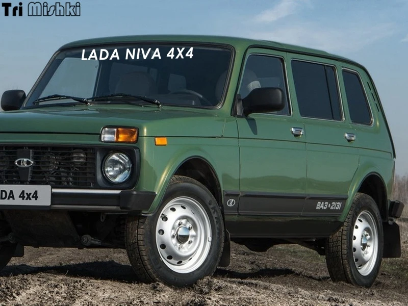 niva (20)_