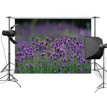 

Bokeh Purple Field Of Flowers Grass Themed Backgrounds Vinyl cloth High quality Computer print wall backdrop