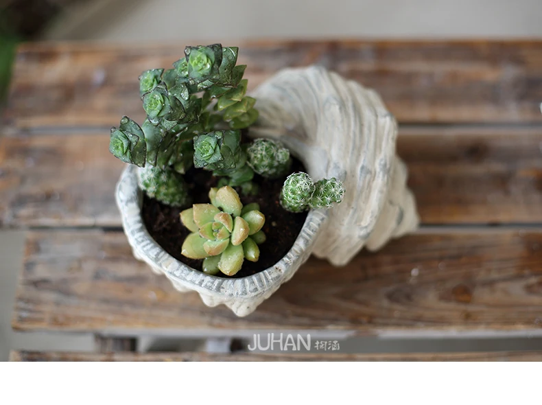 TB2JoR3chtmpuFjSZFqXXbHFpXa_!!2264215783