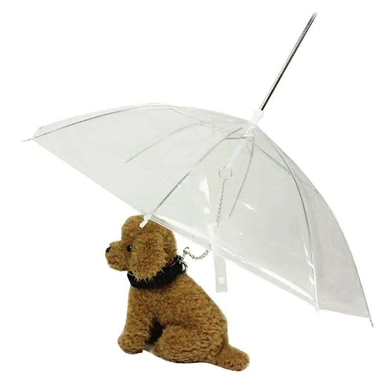

Portable Transparent Small Dog Cat Pet Umbrella With Chain Keep Dry In Rain Outdoor Gear Tool
