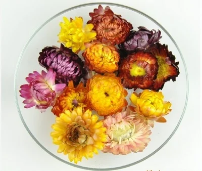 

Dry flower Colorful Chrysanthemum Natural dried Flower heads wedding flower centerpieces Preserved Flower 6PCS