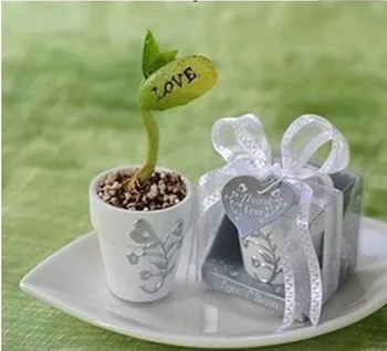 

free shipping 50pcs/lot Wedding gift valentine day gift love magic beans