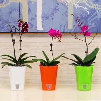

Four colour free shipping lazy self absorption water creative personalized plastic flower pot for home and garden