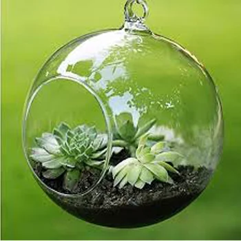 

DIY Transparent Wall Hanging Ball Glass Vase Flower Hydroponic Vase Micro Landscape Bottle Gift Home Office Decor