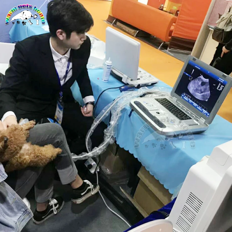 3D Color Doppler Ultrasound Machine for Dog Cat Animals 128G Portable Ultrasound Equipment Veterinary Ultrasound Scanner