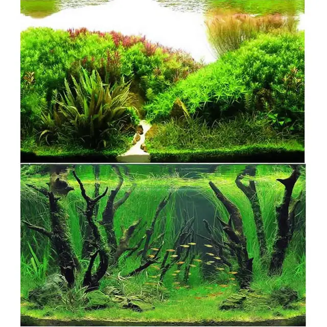 background aquarium plants