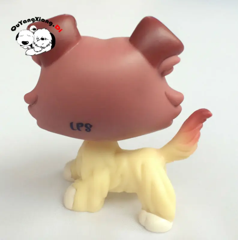 lps004-3