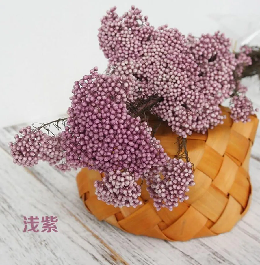永生米花(爱考拉电子)-浅紫