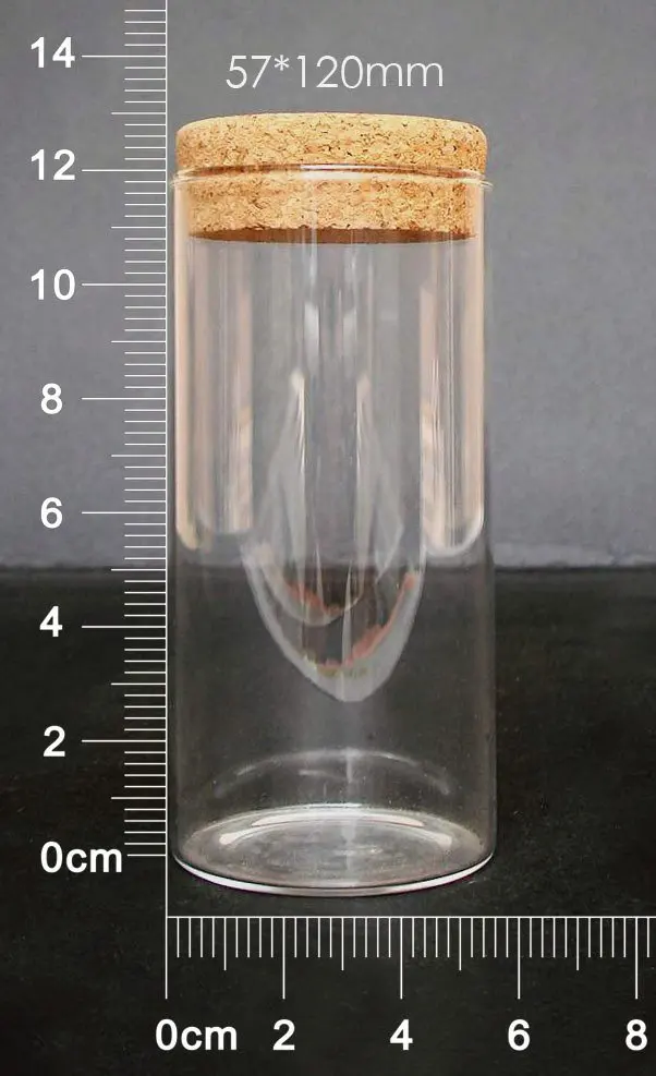 6pcs lot 250ml big Glass tube with wood cork large Vials 6pcs lot 250ml big Glass tube with wood cork large Vials glass jar 0 6ml 1ml