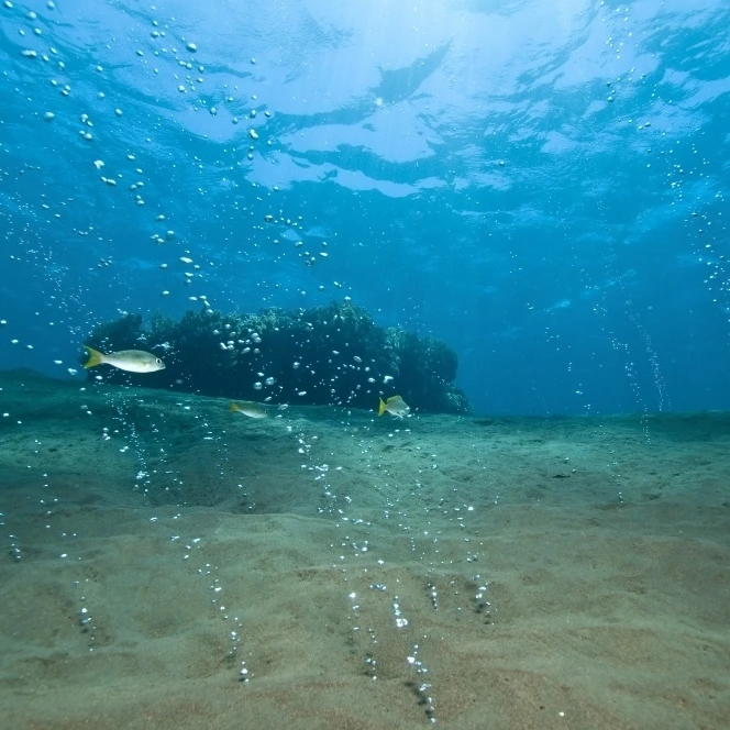 Bubbles from volcanic activity streaming out of black sand  Komodo  Indonesia Poster Print (17 x 11)