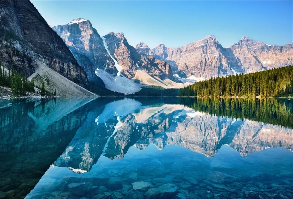 

Laeacco Mountain Tree Water Reflection Scenic Photographic Backgrounds Customized Photography Backdrops For Photo Studio