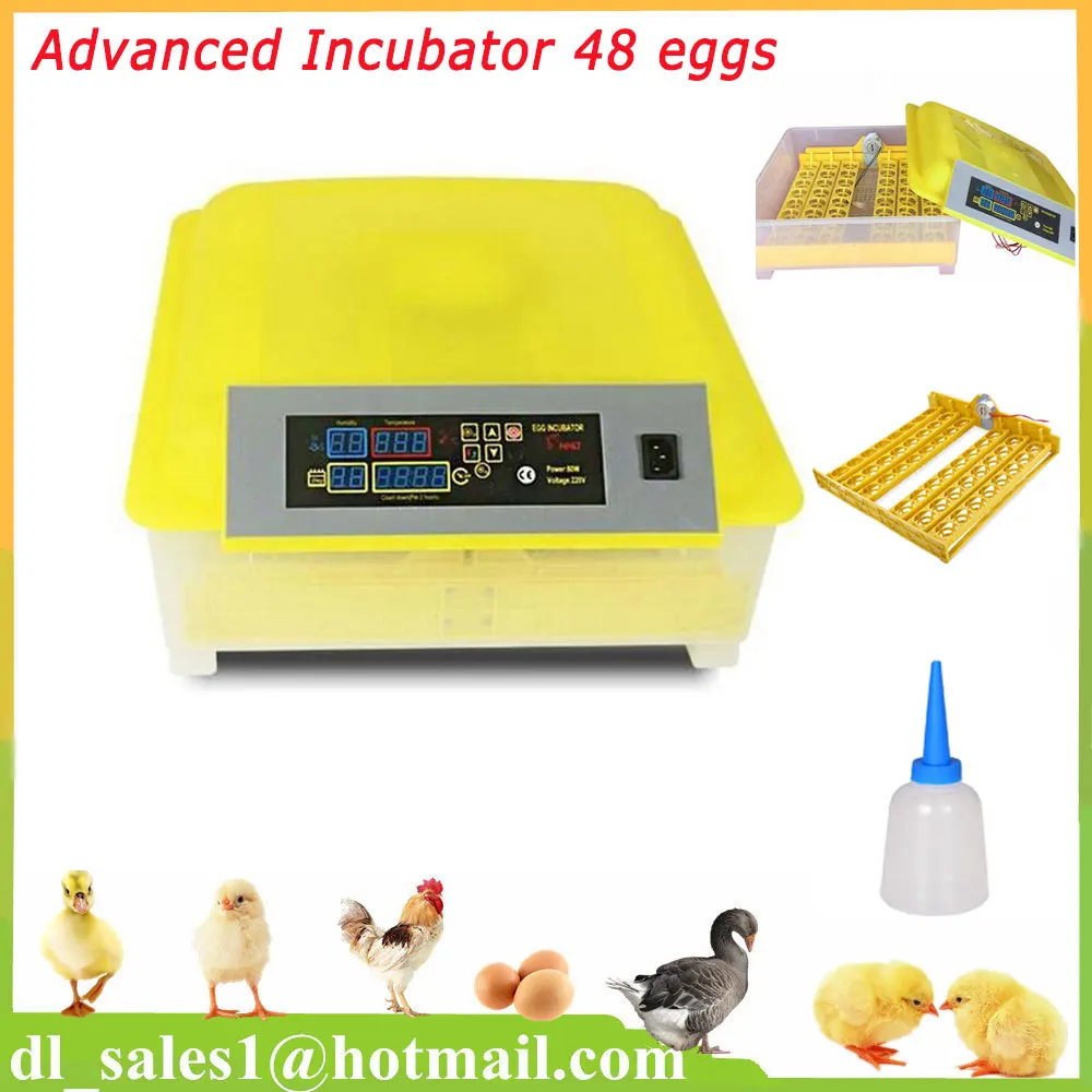 

Automatic Turning Hatching Egg Incubator Mini Industrial Inkubator Brooder Hatchery Machine For 48 Chicken Duck Quail Eggs