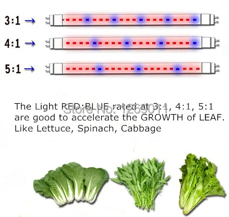 Plant Growth Light Rate