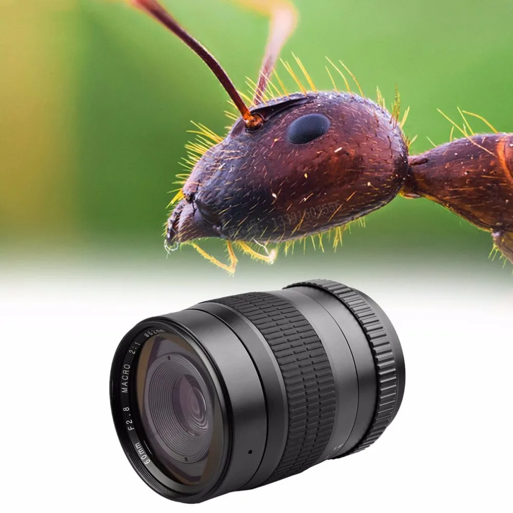 60mm f/2.8 21 Super Macro Manual Fixed Focus Lens for Cannon 1100D