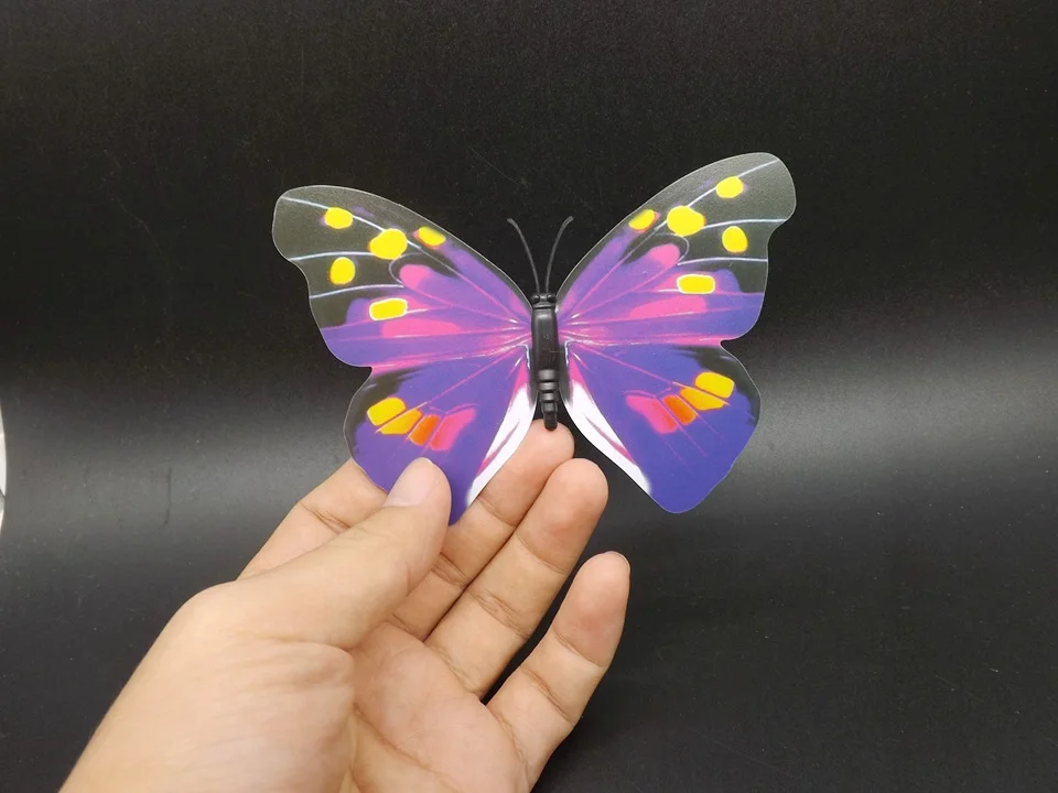 I193-Butterfly (3)