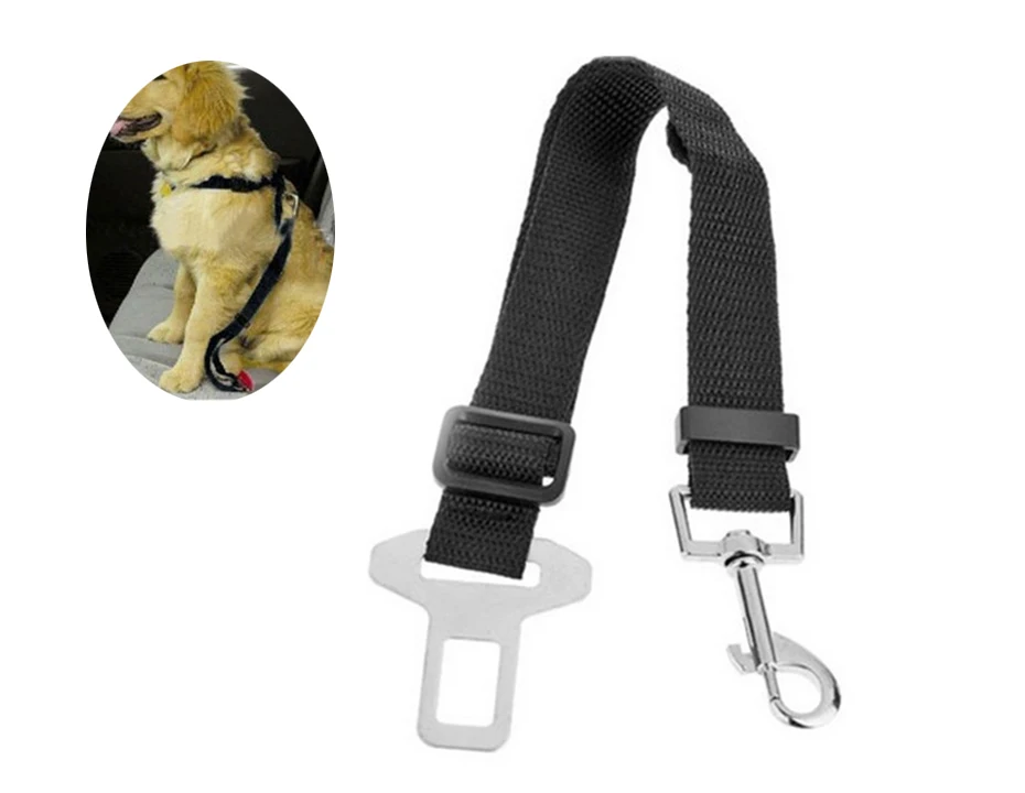 008 Pet seat belt