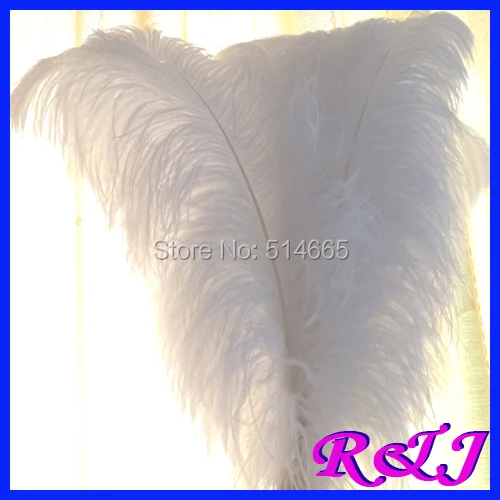100 шт. 60-65 см 24-26 дюймов белый страусиных перьев реального страуса оперение страусиные перья EMS