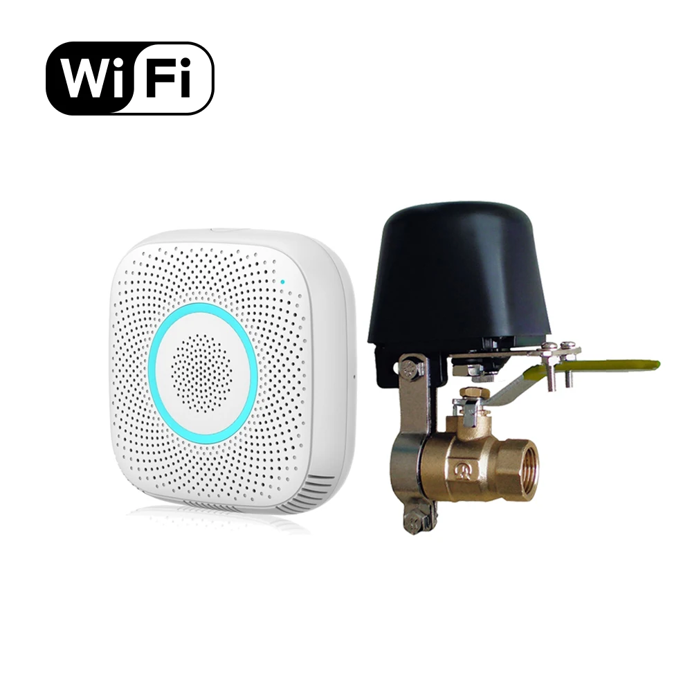 

Smart Wifi Kitchen Gas Leak Sensor Wireless Sensor With Valve Gas Leak