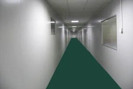 45637537