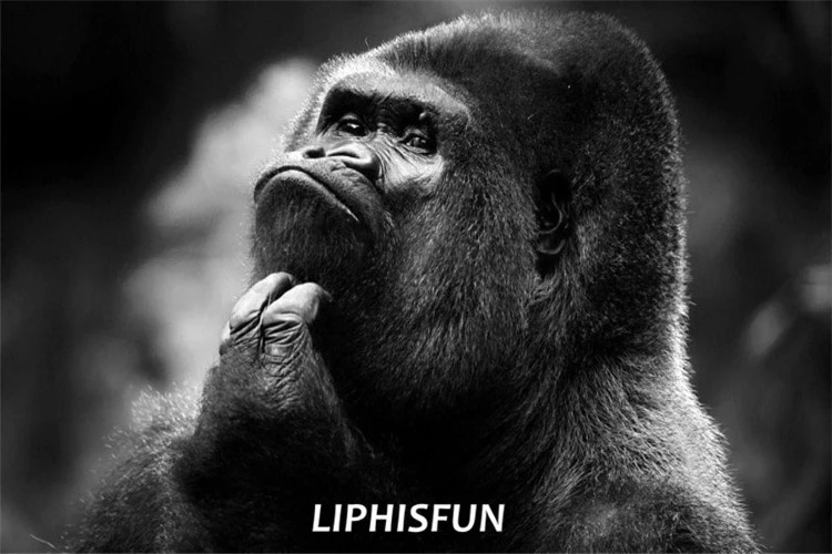 Liphisfunダイヤモンド塗装刺繍フルドリル家の装飾スクエア ラウンドクロスステッチdiy動物ゴリラ猿かわいい Diamond Painting Cross Stitch Aliexpress