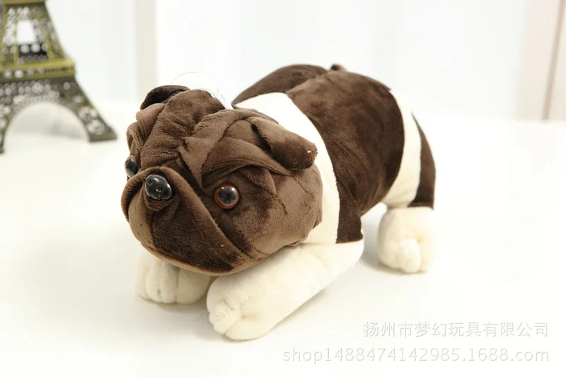 4055467586_673276618