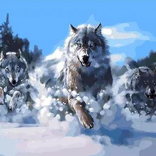 Боевой волк в снегу по номерам Современная Настенная живопись ручная роспись маслом на холсте для украшение для дома, безрамочные картины