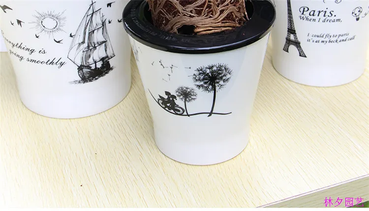 Хранение автоматической лейки цветной пластиковой смолы керамика имитация растений колонизированные корзины набор горшки бесплатно Miansheng