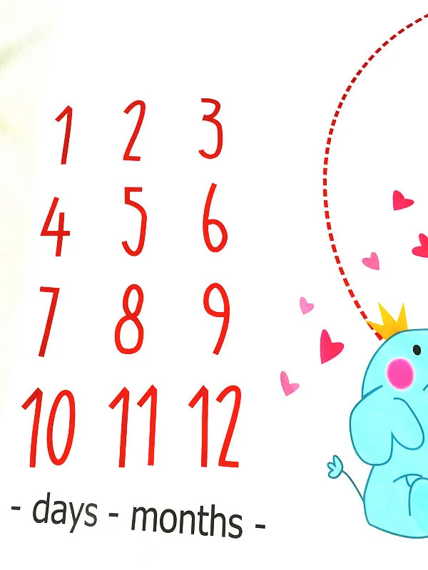 8565281332_341479187