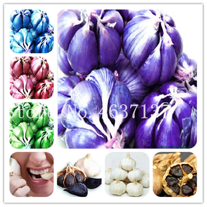 

Hot Sale 100Pcs Mixing Garlic Bonsai Pure Natural Organic Vegetable Bonsai Healthy Delicious Pungent Spice Vegetable Green Food