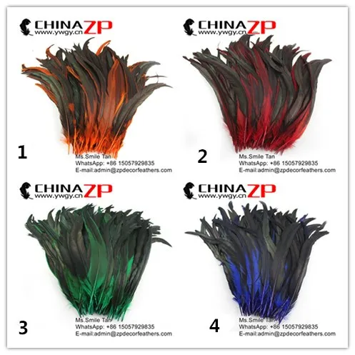 30~35Rooster tail feather