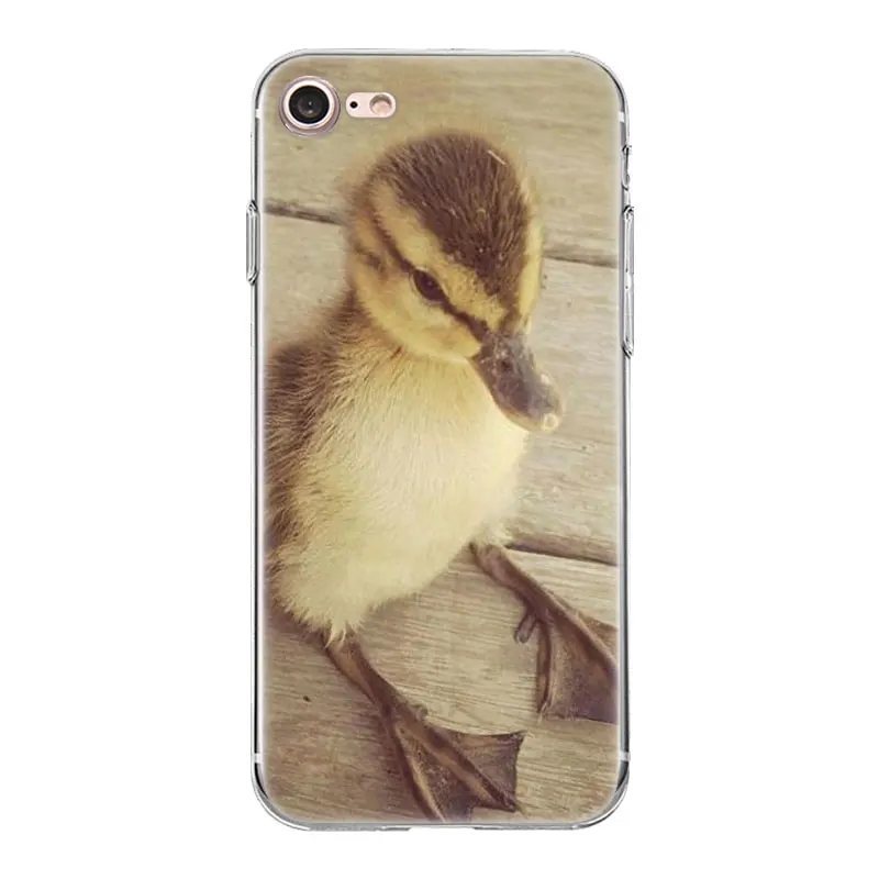 TPU Case Protective For HTC Desire 530 626 628 630 816 820 One A9 M7 M8 M9 M10 E9 Plus U11 For Moto G G2 G3 Animals Ducks mouse TPU Case Protective For HTC Desire 530 626 628 630 816 820 One A9 M7 M8 M9 M10 E9 Plus U11 For Moto G G2 G3 Animals Ducks mouse