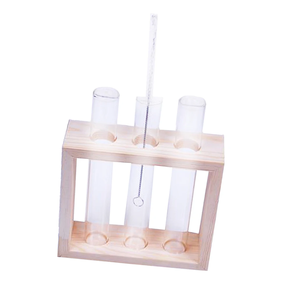 Beautiful Test Tube Glass Flowers Plant Vase Wooden Stand Holder Terrarium Container For Gift Or Home Decorate