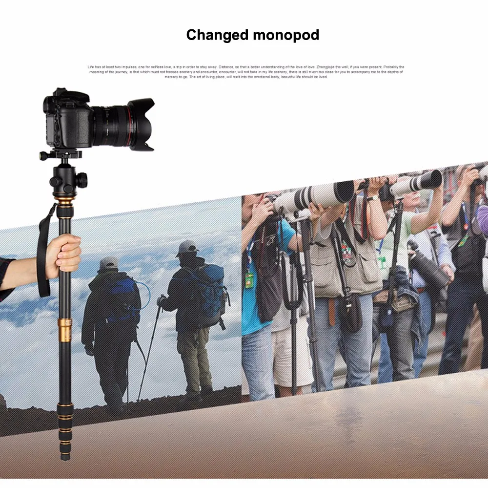 QZSD Q666C Профессиональная фотография Штатив-тренога из углеволокна для компактный монопод для камеры с шариковой головкой для путешествий Камера стенд для цифровых зеркальных фотокамер Canon Nikon