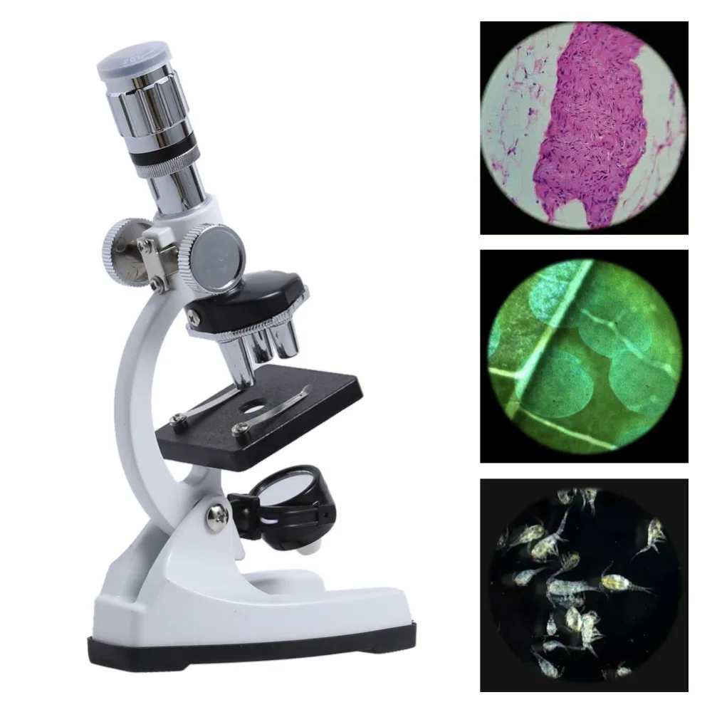 

1200X Microscop Biological Microscope Kit Set Suit Beginner Microscope for Entry level Student Educational Science Lab Kids Gift