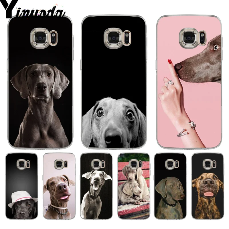 

Yinuoda Weimaraner Dog Art soft phone case cover for samsung galaxy S9 S7 S6 edge plus S5 S9 S8 plus case
