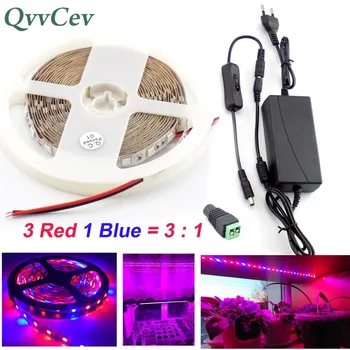 

Qvvcev Waterproof Led Strip Grow Light 3 Red 1 Blue lights 2M 3M 5M DC12V 2A/3A SMD5050 Growing Plant Lamp Power Adapter+Switch