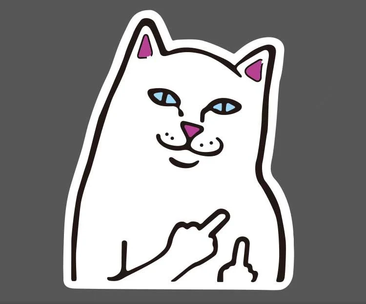 Love Dog And Cat Love Dog And Cat